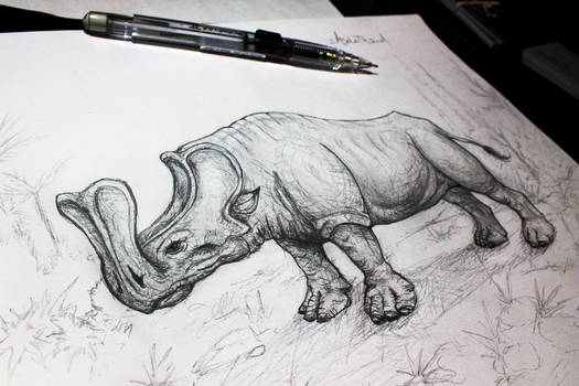 Drawing an Embolotherium.