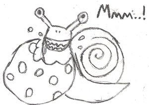 Snail and Cookie