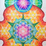 Flower of life