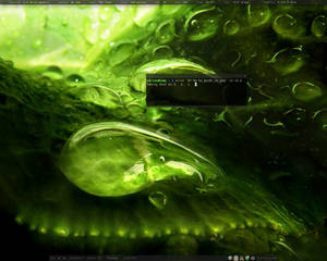 Linux Mint 5 Fluxbox