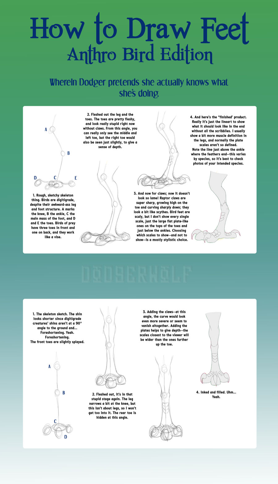 Tut: Drawing Bird Feet By Dodgerwolf On Deviantart