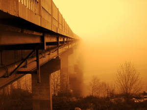 Sepia bridge