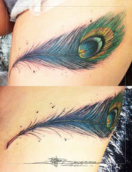 tattoo peacock feather