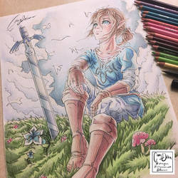 Link Botw Coloured pencil drawing