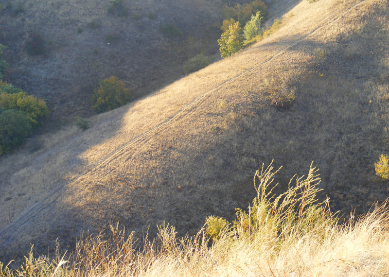 The Sleeping Mountain