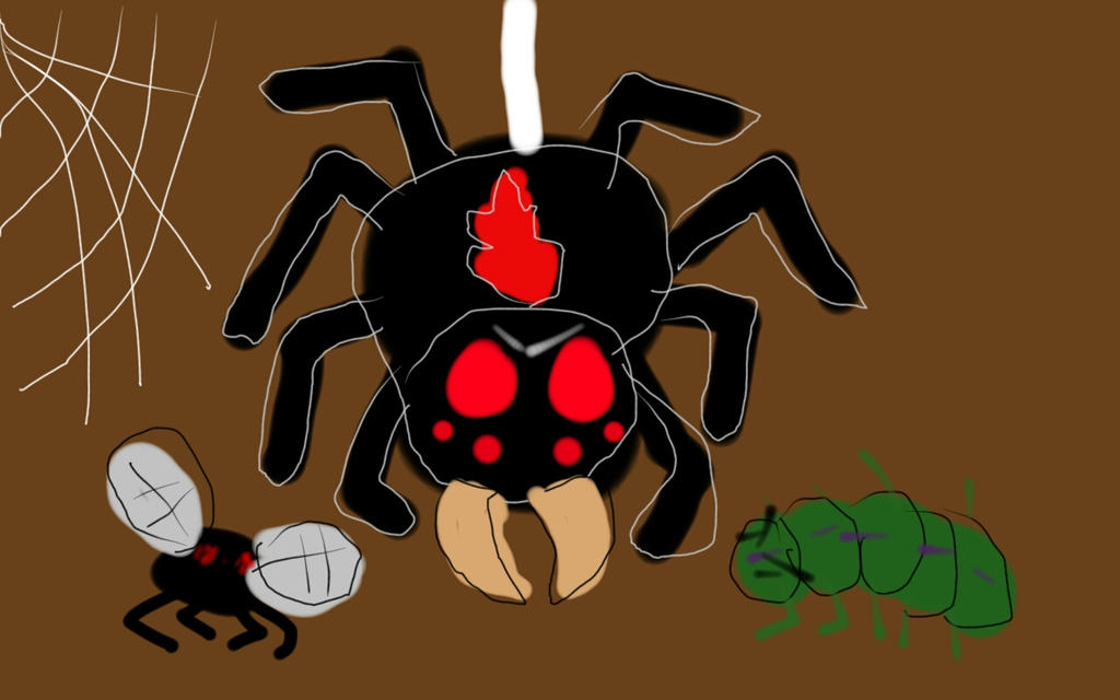 Spider Insect Deviantart Bugs! (mostly Spiders) by Superflamefox on DeviantArt