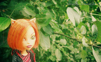 doll Monster high in nature