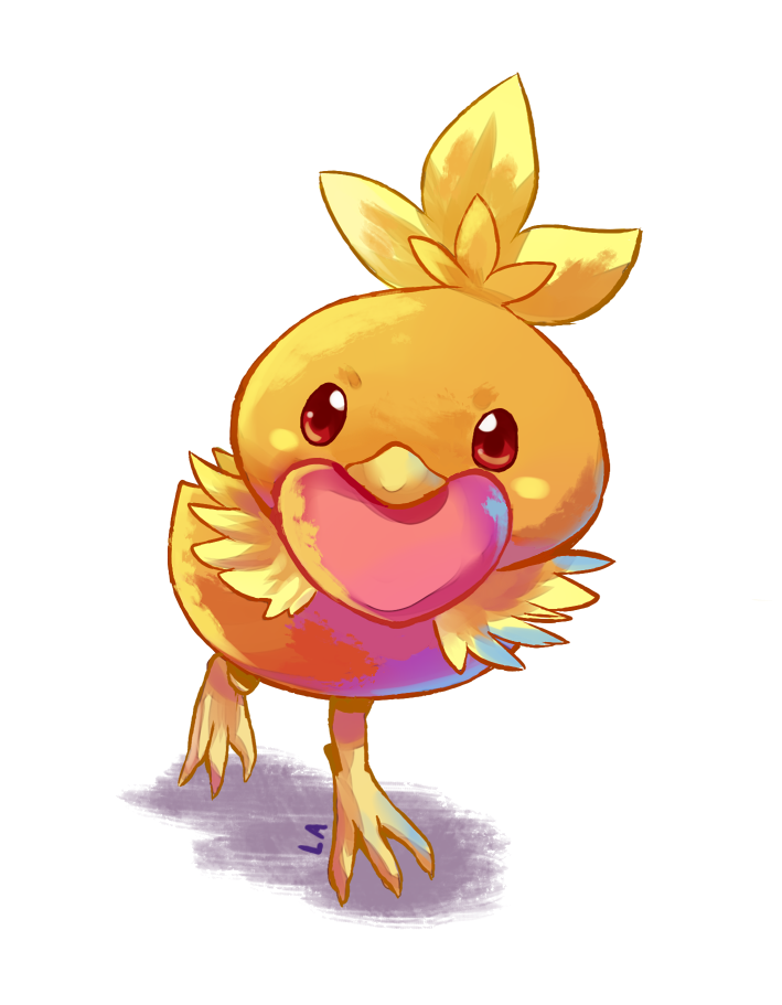 Torchic Heart