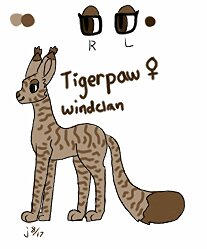 Tigerpaw