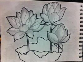 Flower Sketch Up