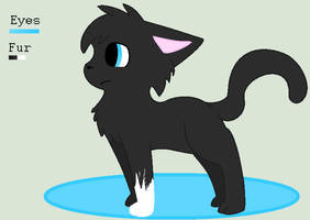 Warrior Cats Oc - ShadowClaw