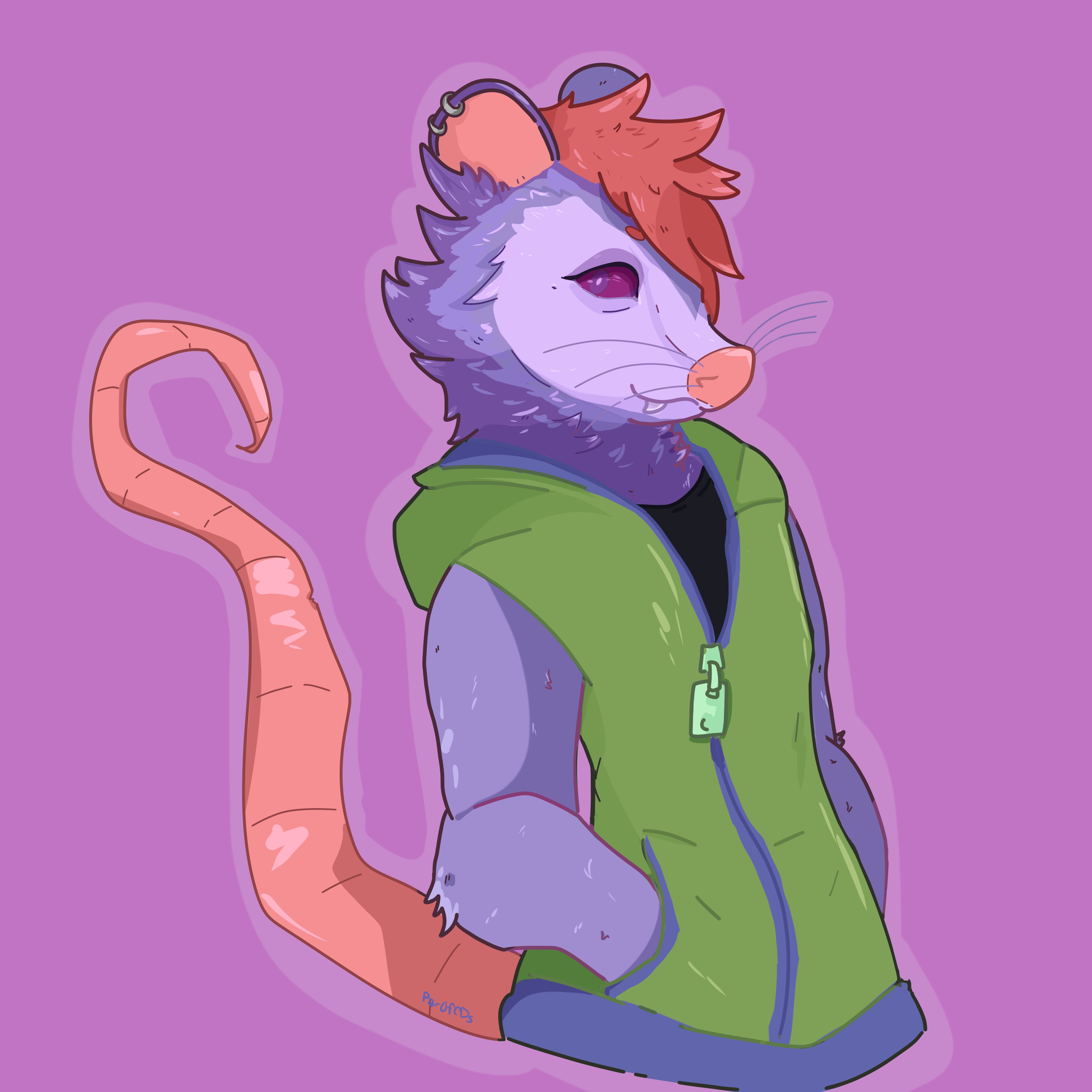 Posom opossum by pairofcds on DeviantArt