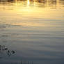 Calm Waters At Twilight