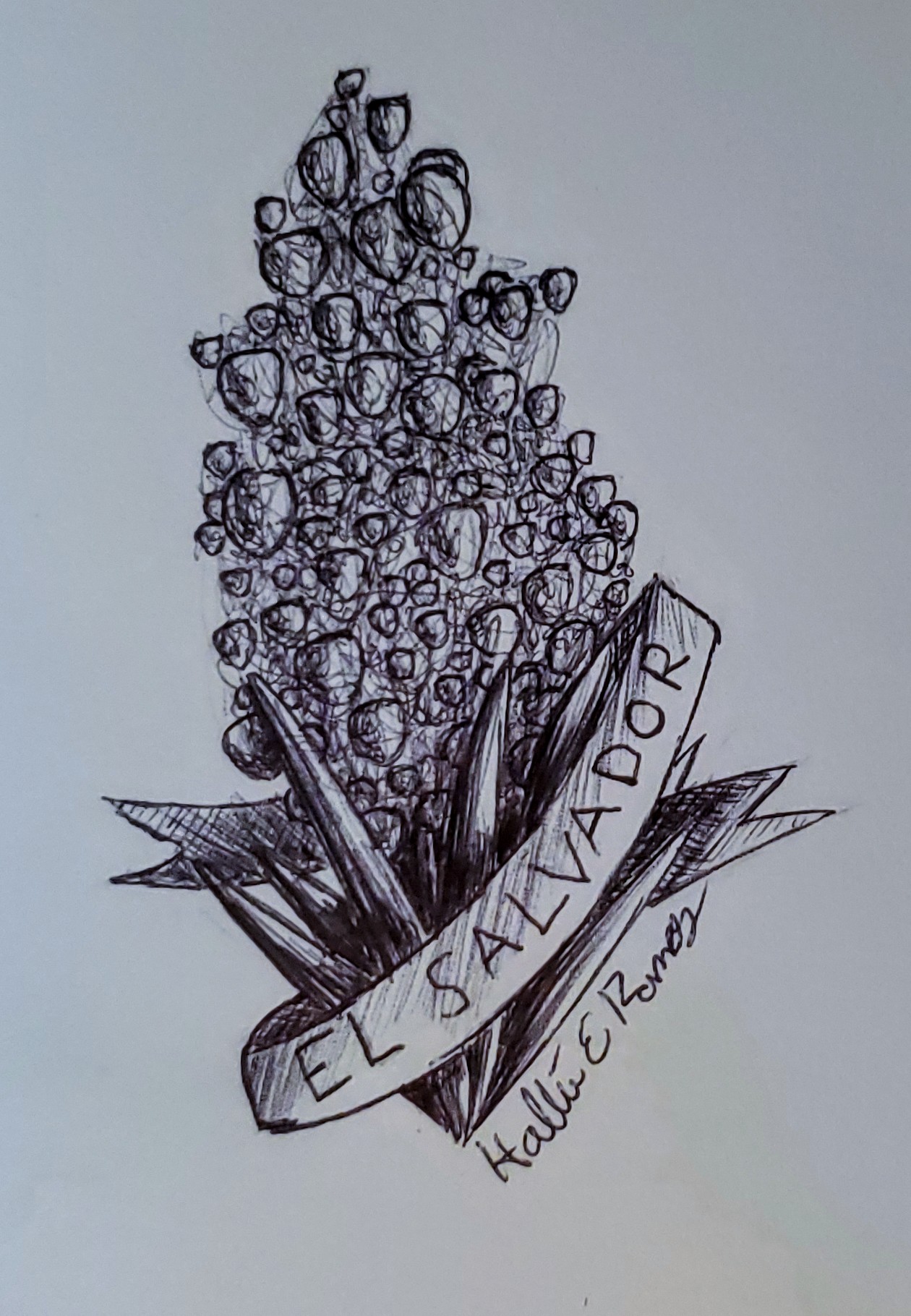 Izote Flower Drawing Best Flower Site