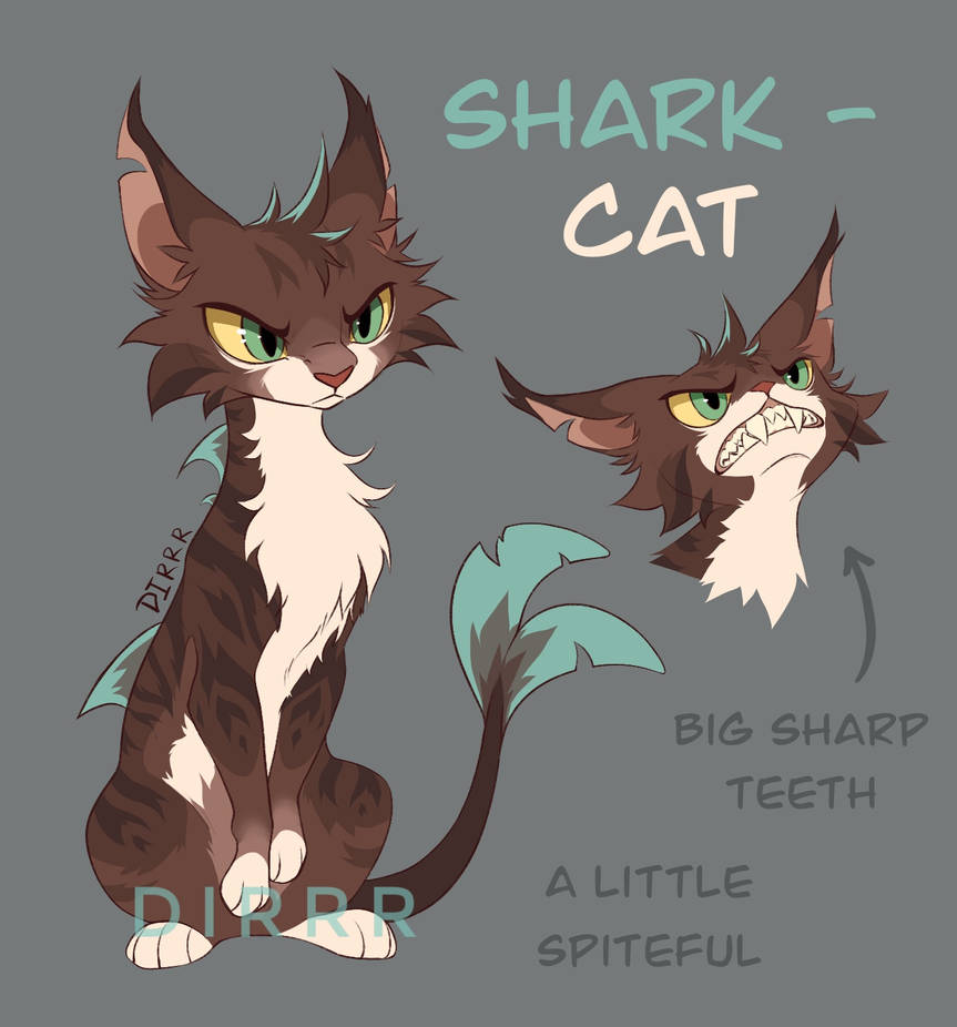 SHARK CAT close By DIRRR On DeviantArt shark-cat-close-by-dirrr-on-deviantart