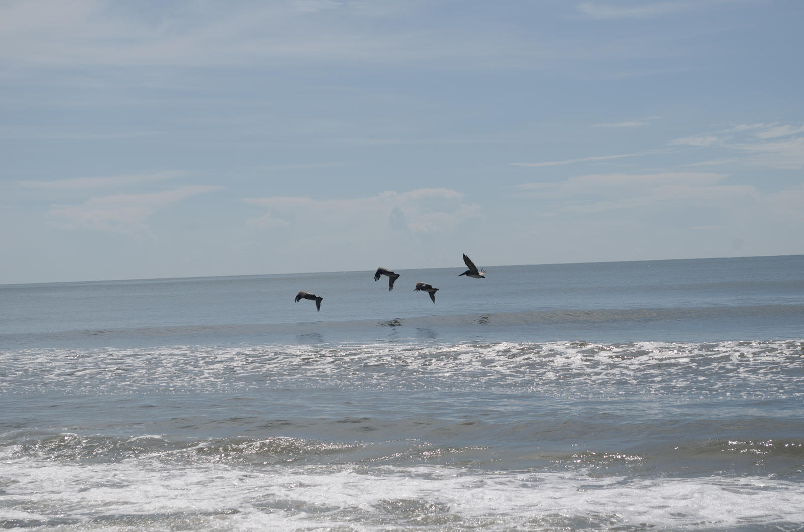 Flying Pelicans (stock)19August 23, 2013