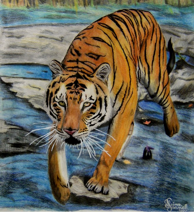 Stepping Stones for a Tiger