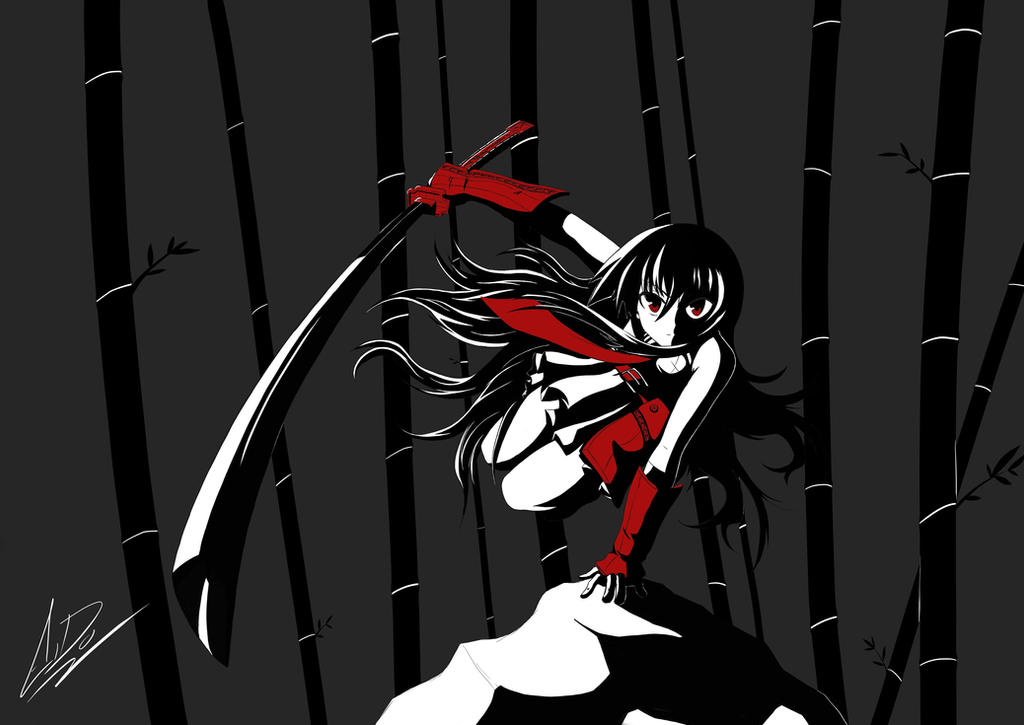 Akame Ga Kill! by EidoShooter
