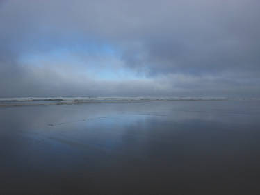 Ocean Shores