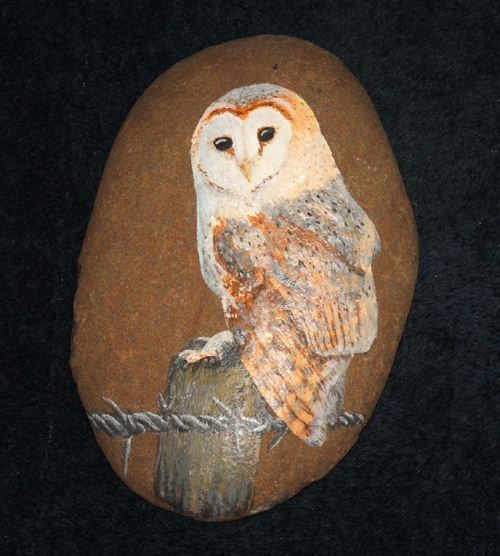 Barn Owl Rock Painting