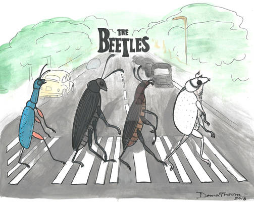 The Beetles 2013