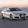 audi a5-ms paint..