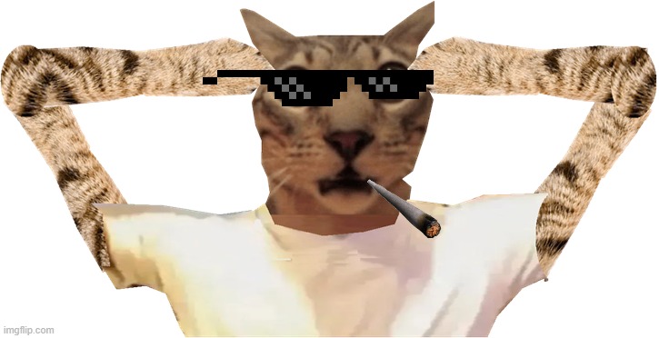 Cat Rizz by FEDSMOKING2009 on DeviantArt