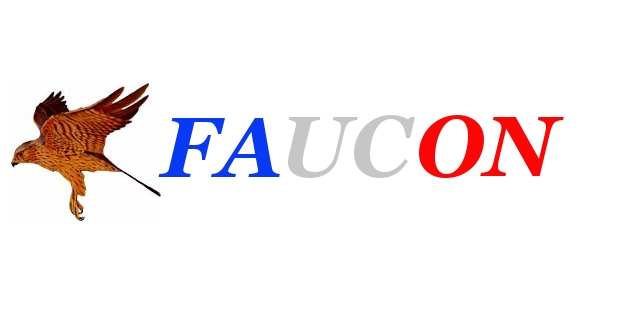 Logo du groupe Faucon (concept 2009)