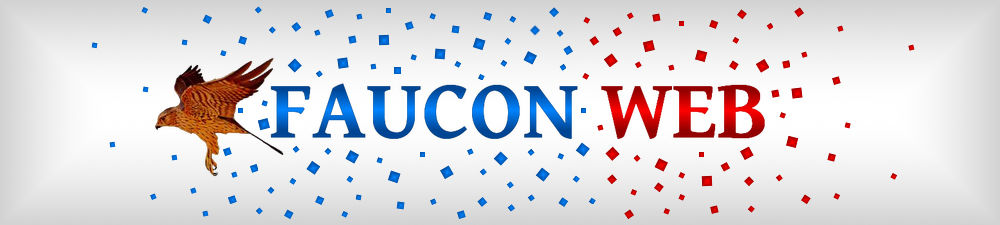 Logo du site Faucon Web (2013)