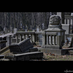 Jewish Cemetary Lodz 06