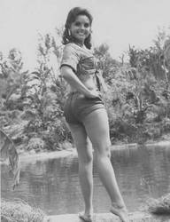 Dawn wells as Mary Ann