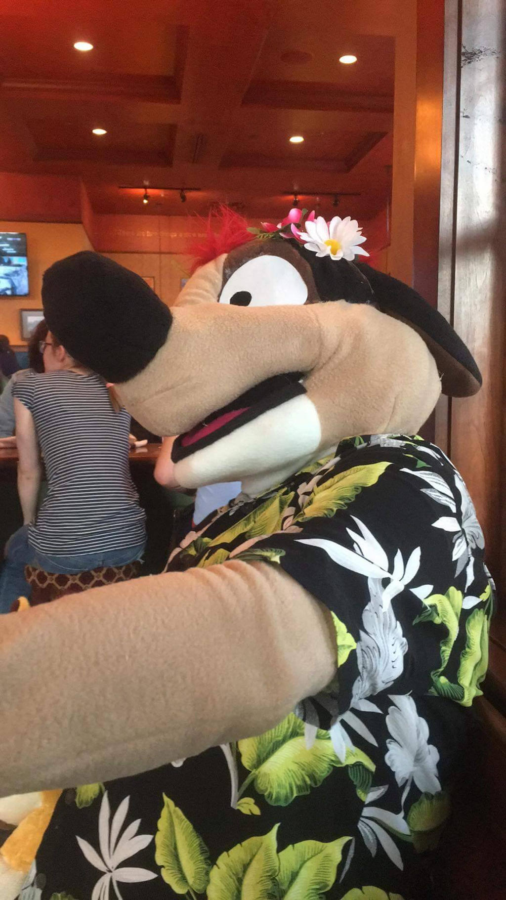 Timon Side View by AudenLucaConri on DeviantArt