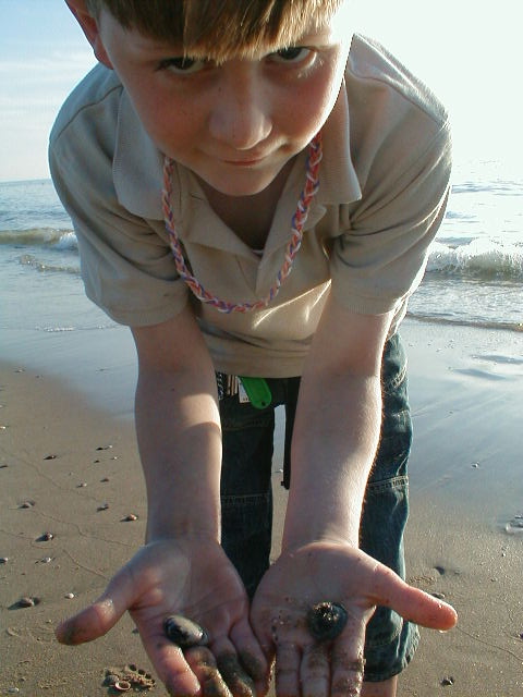 Beach boy