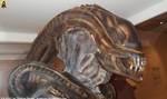 SciFi Exhibition - Xenomorph Head by Euderion