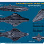 Salarian Union Heavy Cruiser Overview