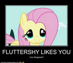 Fluttershy Likes You by Mr-Kennedy92