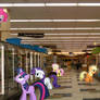 Mane 6 In The Frozen Section