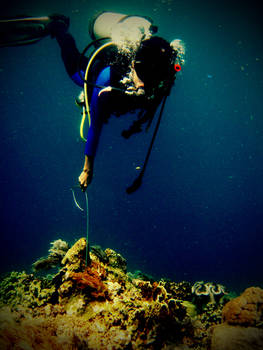 diving