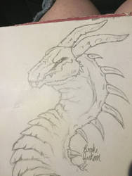 Dragon sketch