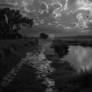 Wet Road