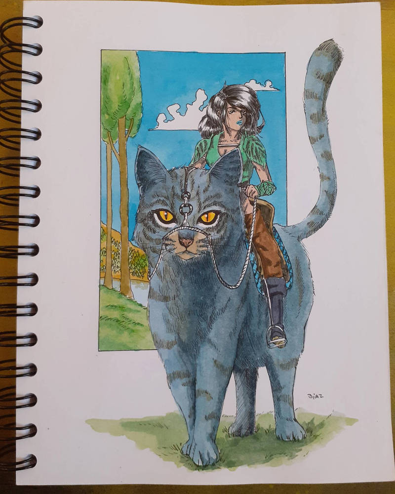 Cat Rider by maurodiazart on DeviantArt