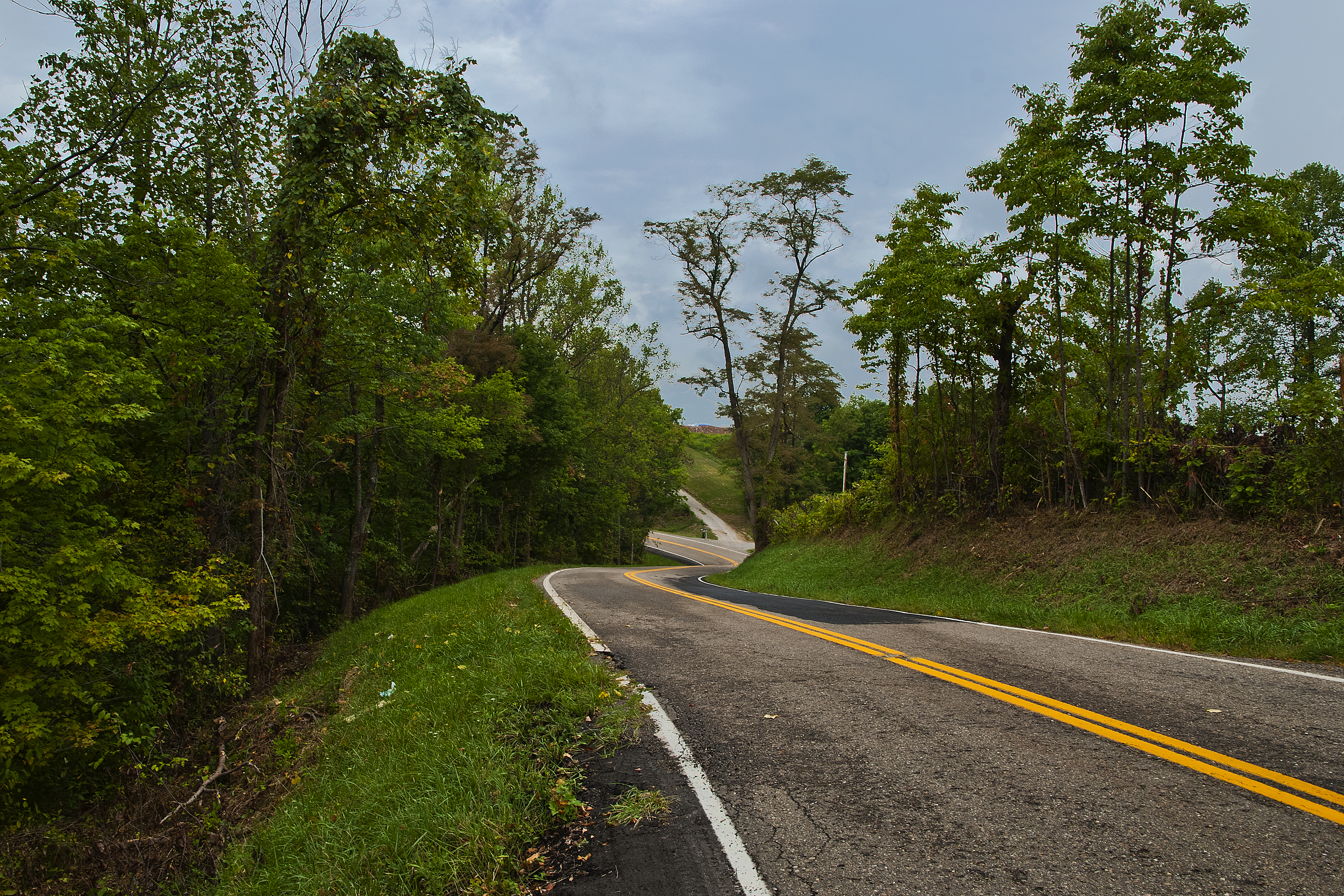 'A Winding Road that Beckons Me to Roam' by quintmckown