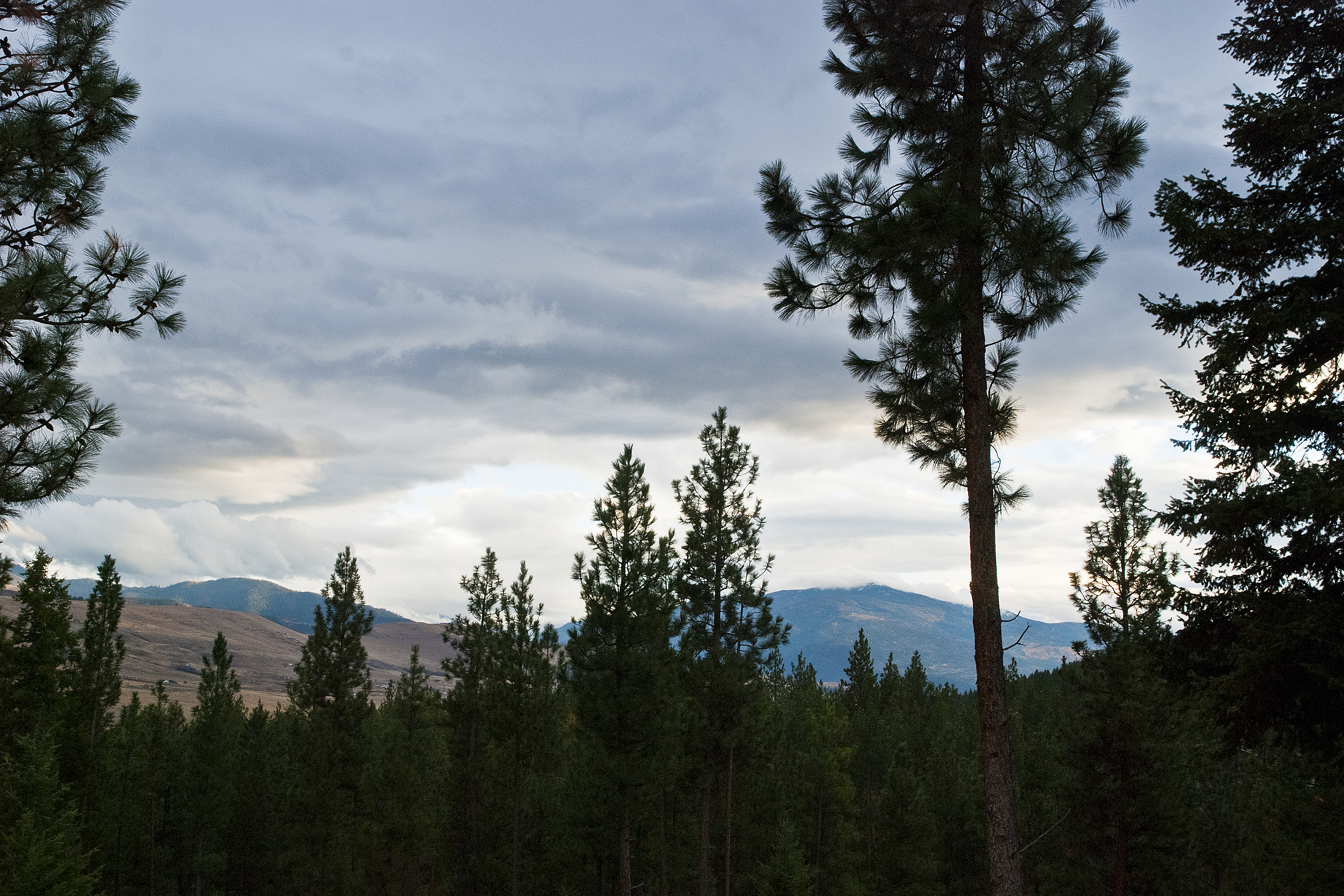 Evening from the Deck