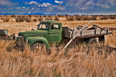 Out to Pasture by quintmckown