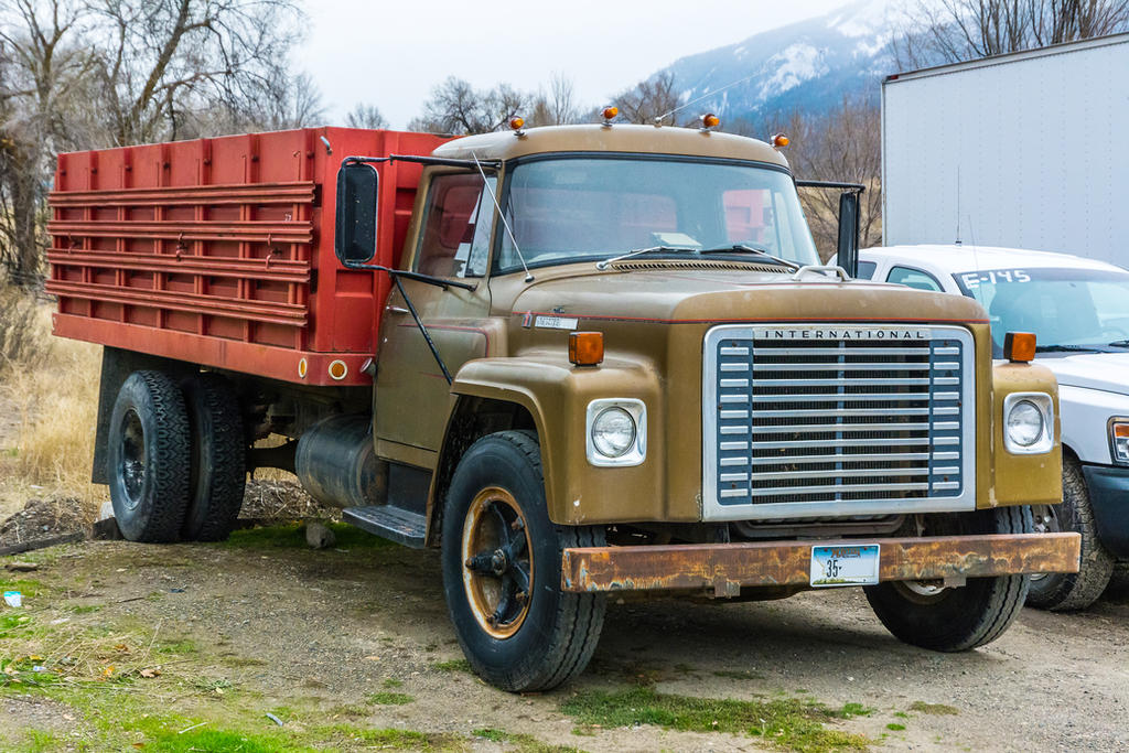 197? International Loadstar 1600 by quintmckown