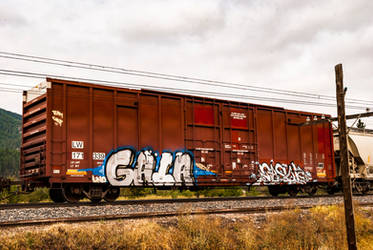 Graffiti on the tracks by quintmckown