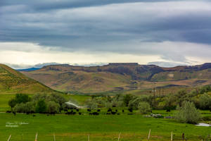 An Elmore County Farm