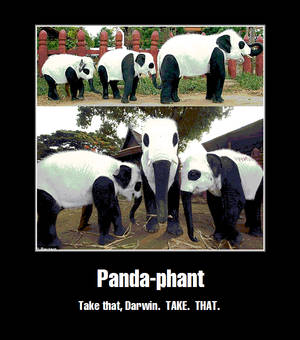 Panda-phant