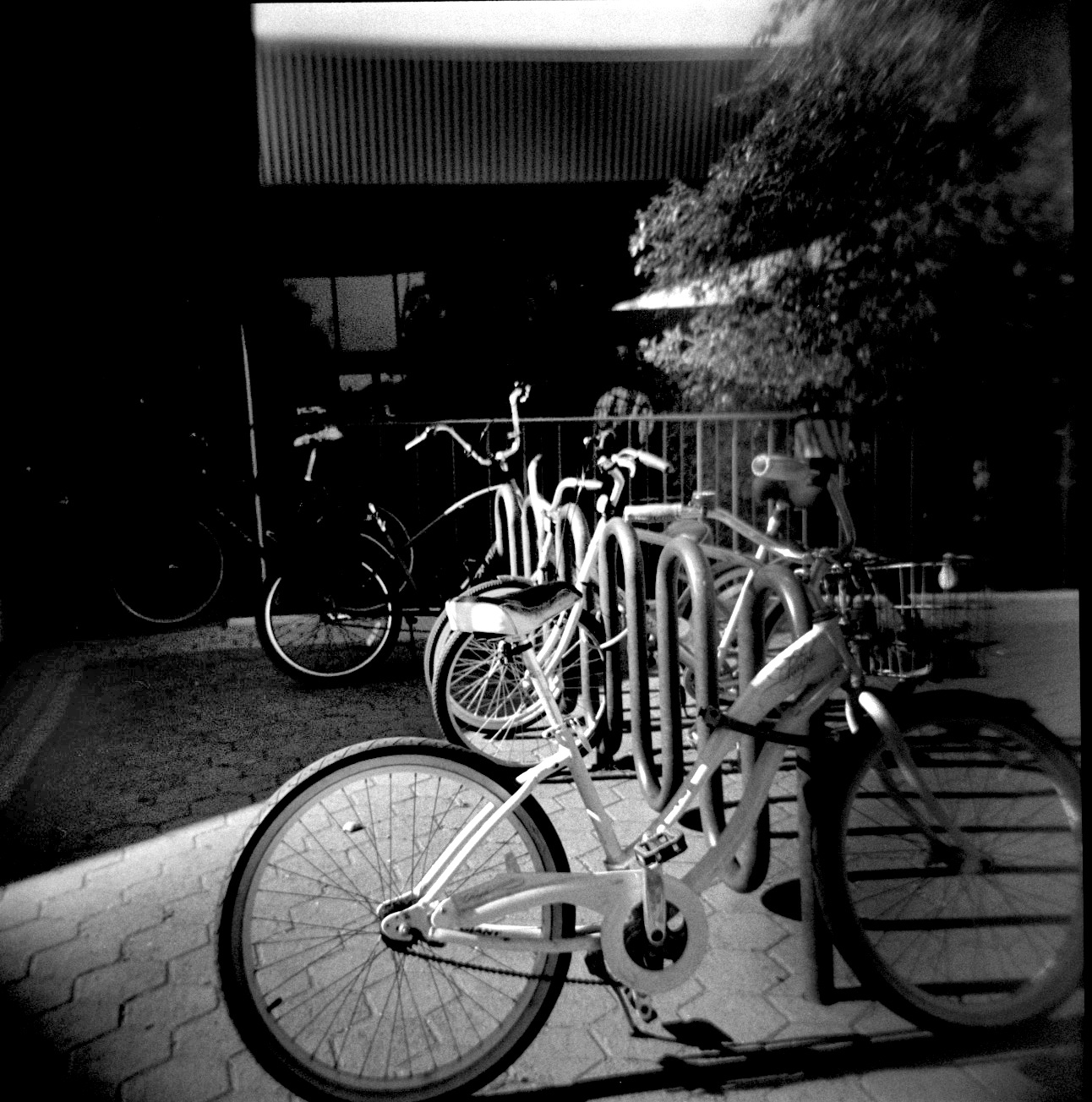 Film picture 8: bikes