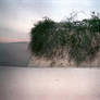 White Sands National Monument